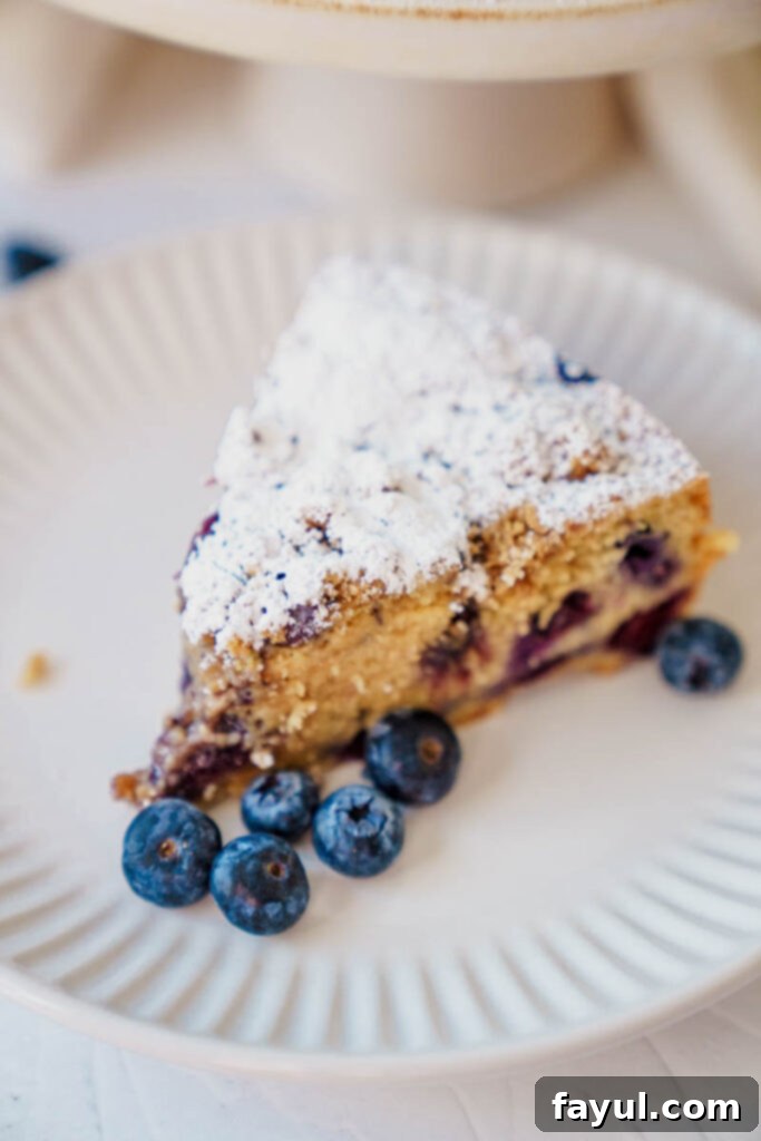 Baked blueberry coffee cake with streusel
