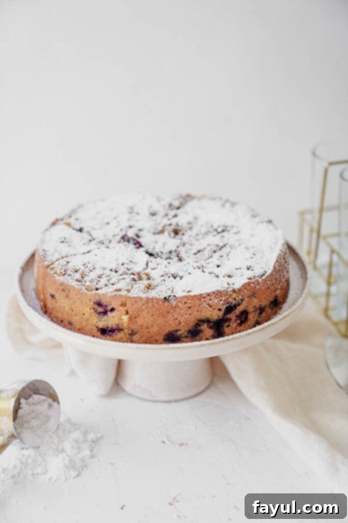 Overhead view of a whole blueberry coffee cake