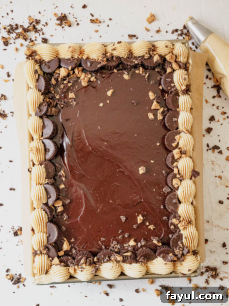 peanut butter sheet cake with chocolate ganache drizzle and peanut butter frosting border