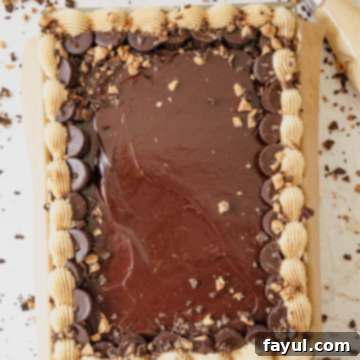 Chocolate Peanut Butter Sheet Cake