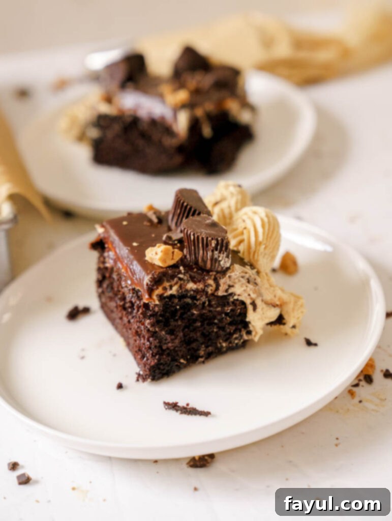 Close-up of a slice of chocolate peanut butter sheet cake, showing layers of cake, frosting, and ganache.