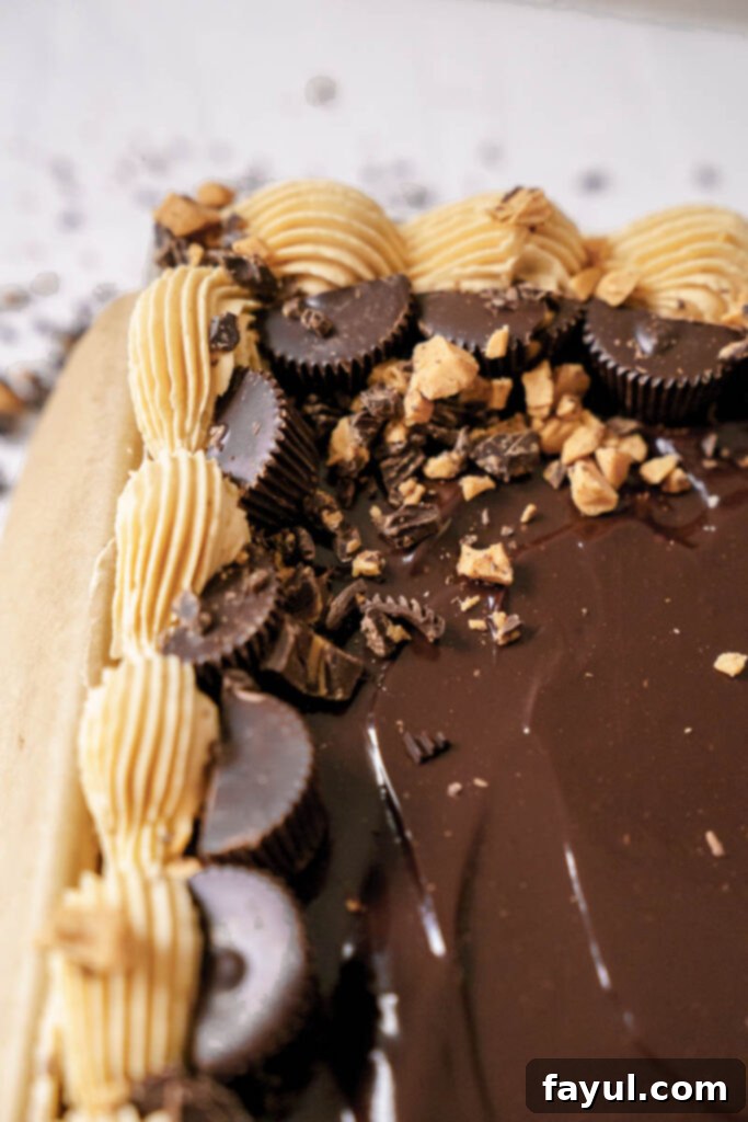 Top view of the entire chocolate peanut butter sheet cake, beautifully frosted and garnished.