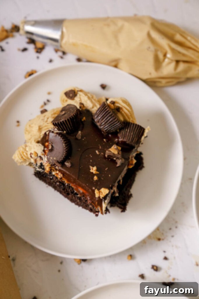 Ingredients for chocolate peanut butter sheet cake laid out on a kitchen counter