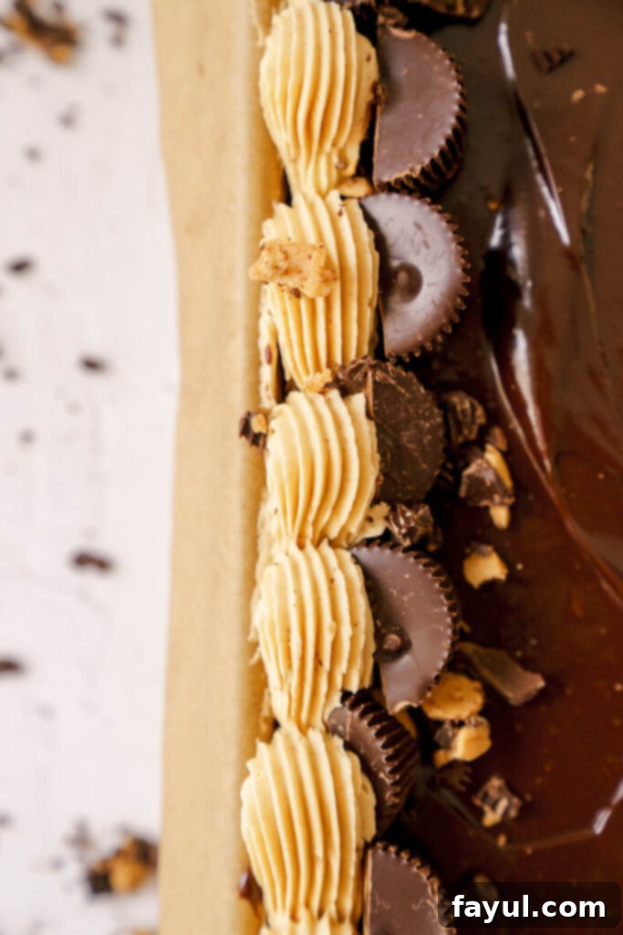 Chocolate cake batter being poured into a prepared 9x13 inch baking pan.