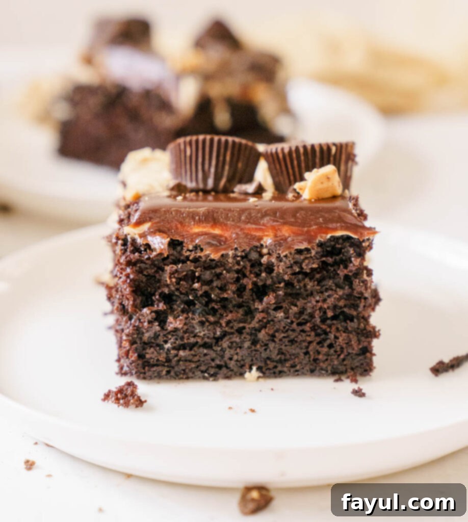 A slice of chocolate peanut butter sheet cake with a fork, ready to be eaten.