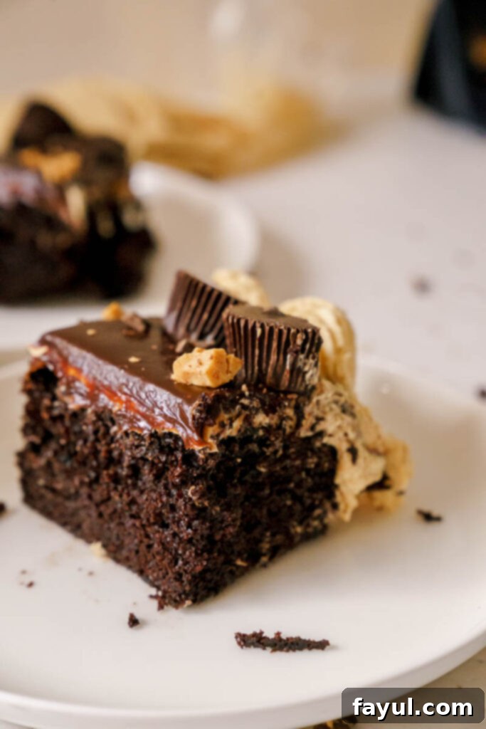Chocolate Peanut Butter Sheet Cake garnished with Reeces peanut butter cups.