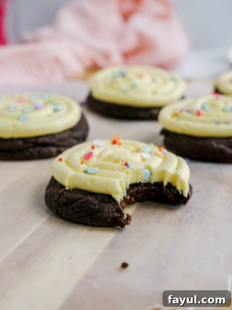 Delicious Frosted Chocolate Birthday Cookies with colorful sprinkles
