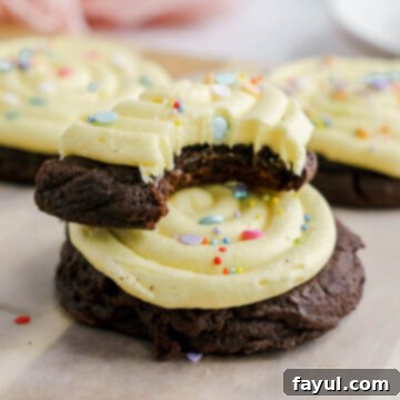 Perfectly frosted chocolate birthday cookie with sprinkles