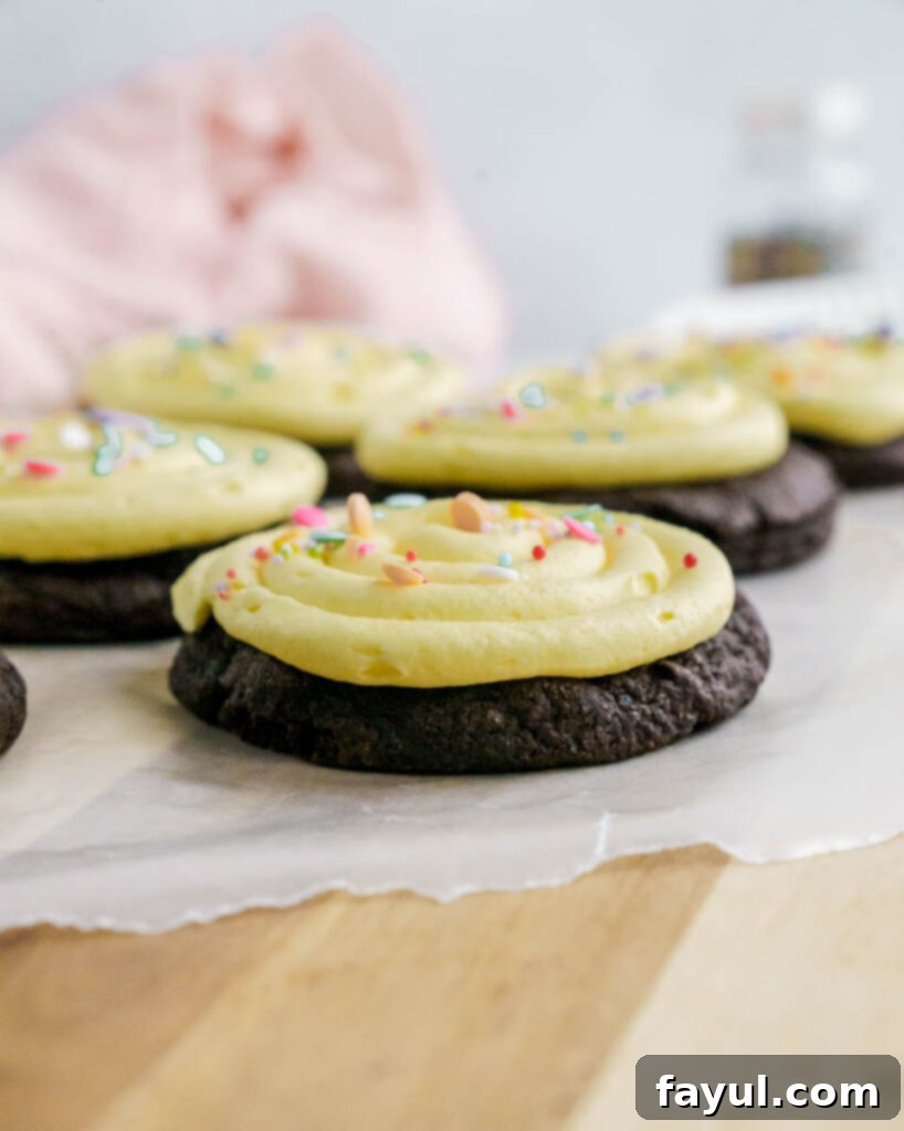 Close-up of frosted chocolate birthday cookie with cake batter frosting