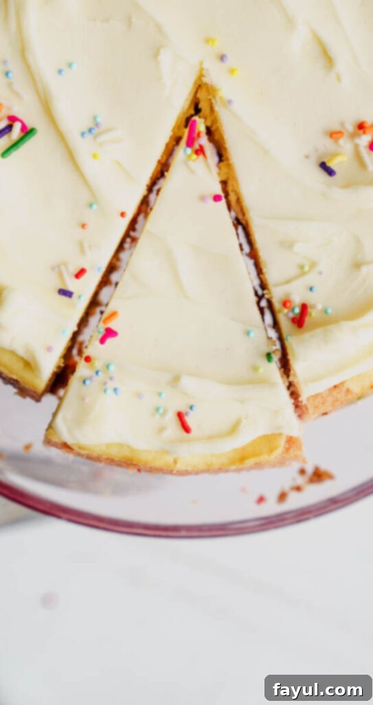 Close-up of Birthday Cheesecake showing funfetti swirls