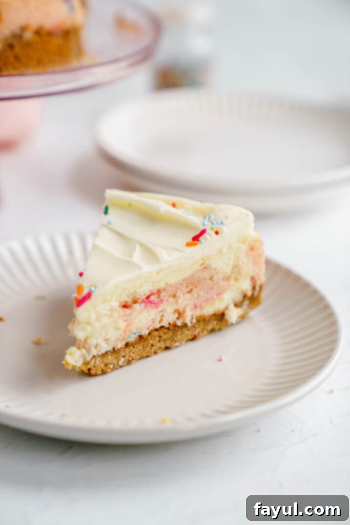 Full Birthday Cheesecake with cream cheese frosting and sprinkles