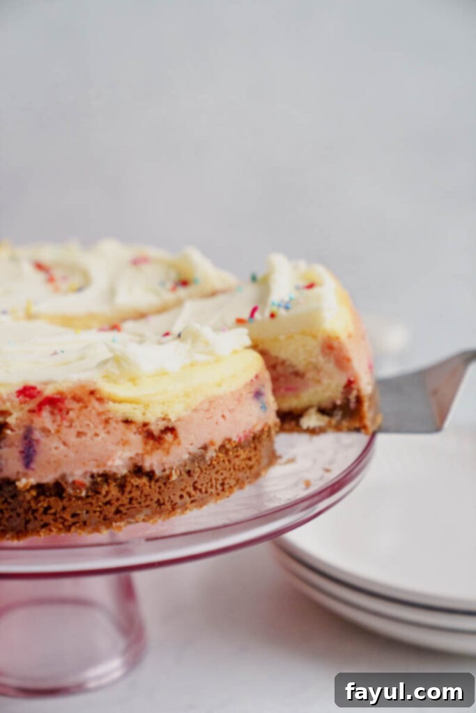 Ingredients for Birthday Cheesecake on a counter
