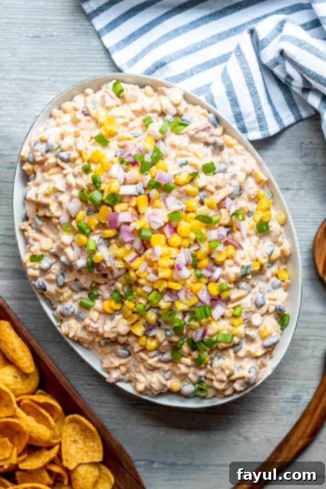 Overhead shot of a white bowl filled with Fiesta Corn Dip, surrounded by crispy tortilla chips on a white counter.