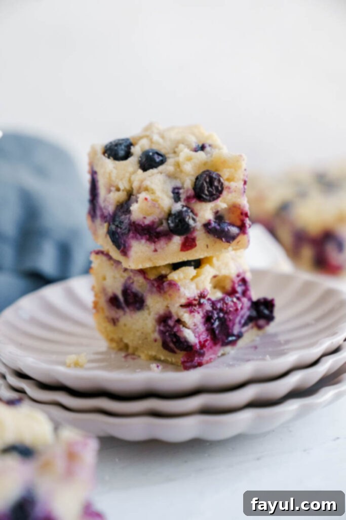 Overhead shot of freshly baked blueberry pie bars in a pan, garnished with extra blueberries
