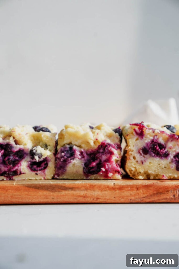 Close-up of a blueberry pie bar with a textured shortbread crust