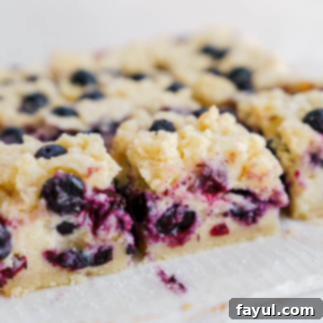 blueberry pie bars