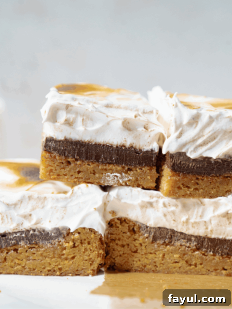 s'mores blondies