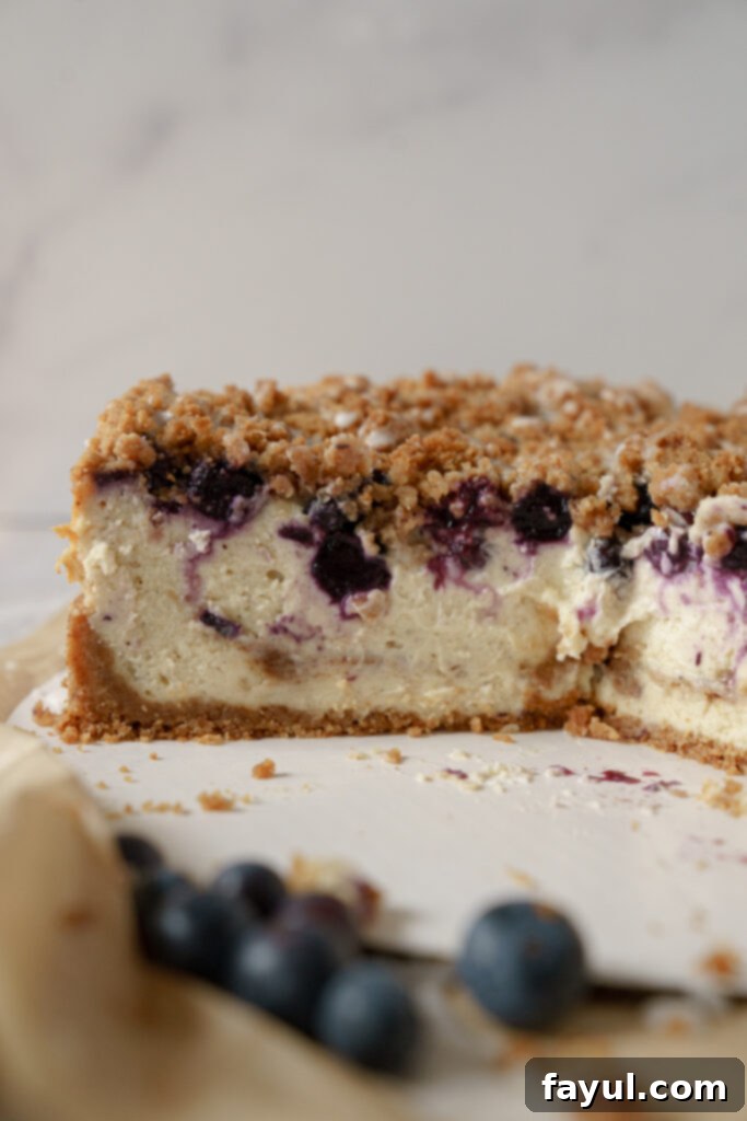 Close-up of a slice of Blueberry Muffin Cheesecake, showing the creamy filling, blueberries, and crumble topping.
