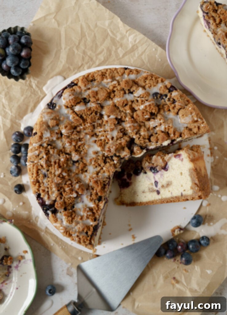 A beautifully presented whole Blueberry Muffin Cheesecake with fresh blueberries, ready for serving.