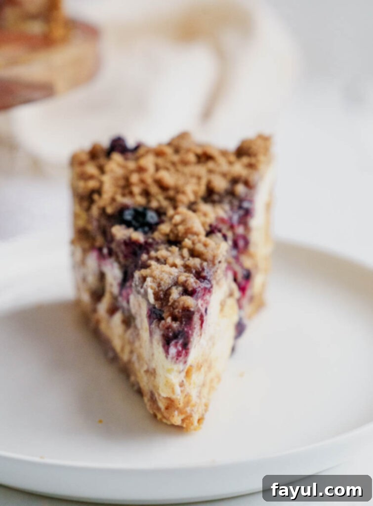 A close-up of the textured streusel topping on the Blueberry Muffin Cheesecake.