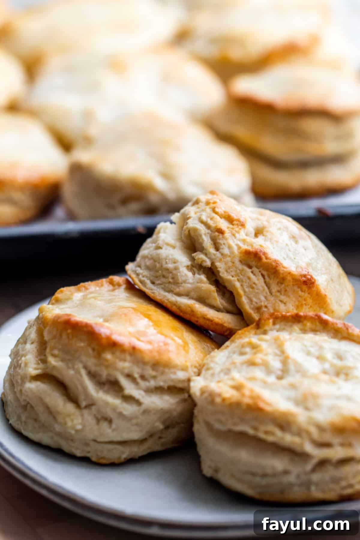 Biscuits sitting on gray plate with more on tray in background. Fluffy, golden-brown Southern buttermilk biscuits.