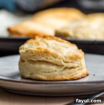 Single biscuit on white gray plate on wooden table. A perfectly golden-brown Southern buttermilk biscuit, ready to be enjoyed.