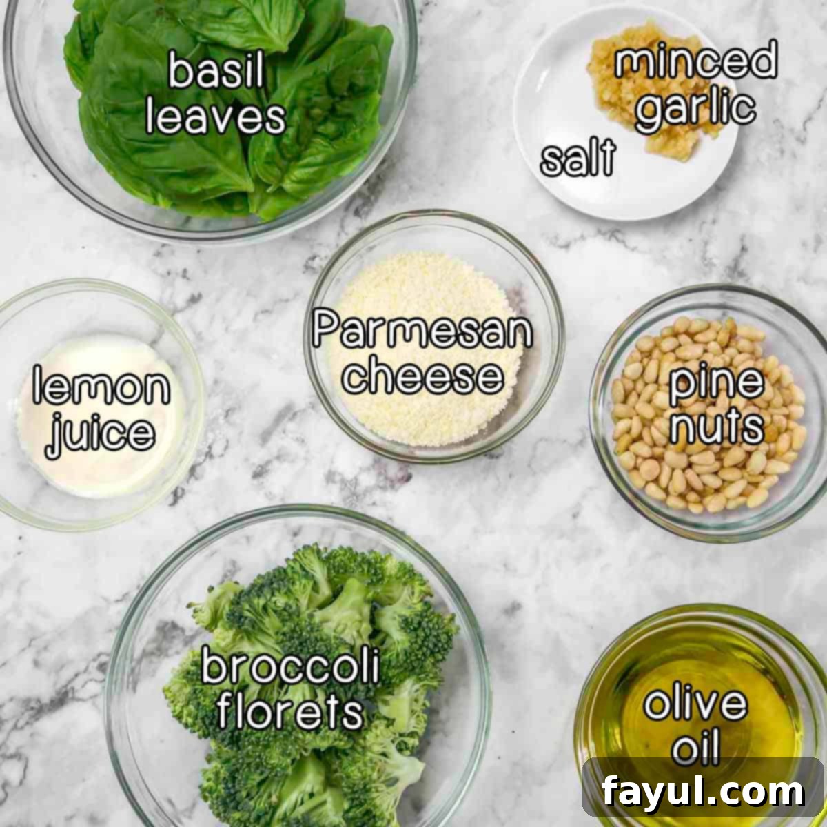 Overhead shot of all the fresh ingredients needed for broccoli pesto: vibrant basil leaves, cloves of minced garlic, a pinch of salt, grated Parmesan cheese, fresh lemon juice, golden pine nuts, crisp broccoli florets, and a bottle of olive oil.