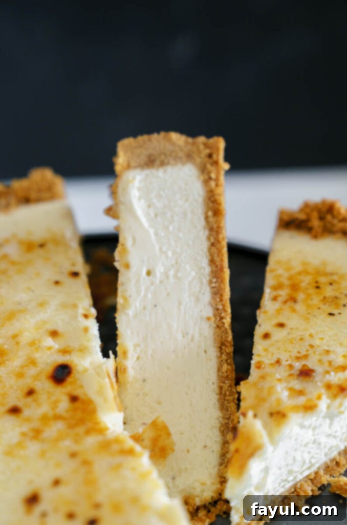 Crème brûlée cheesecake slice