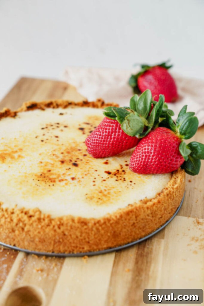 Close-up of crème brûlée cheesecake topping