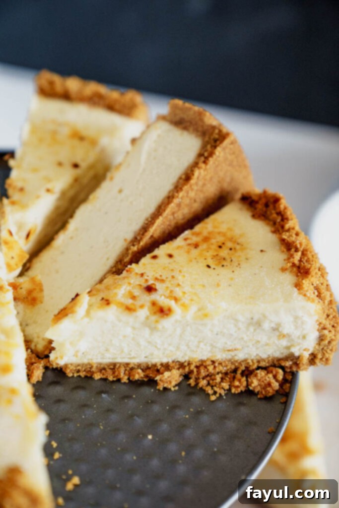 Crème brûlée cheesecake on a stand