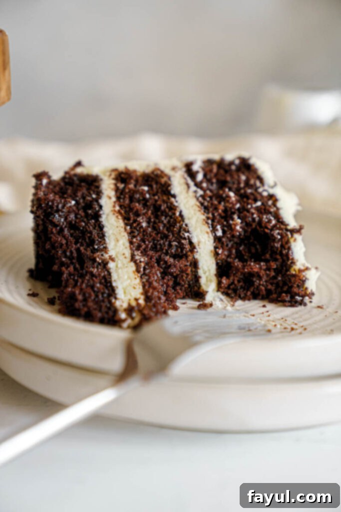 Another perspective of the chocolate cake with creamy frosting and sprinkles.