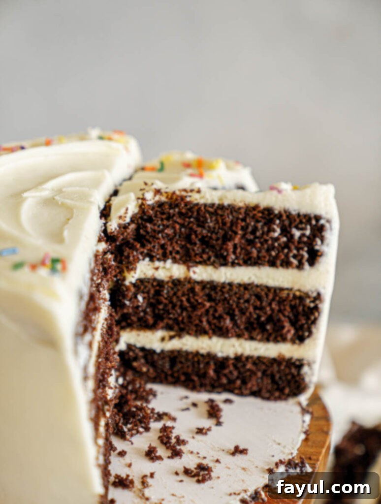 A finished chocolate cake with cream cheese frosting, garnished with sprinkles.
