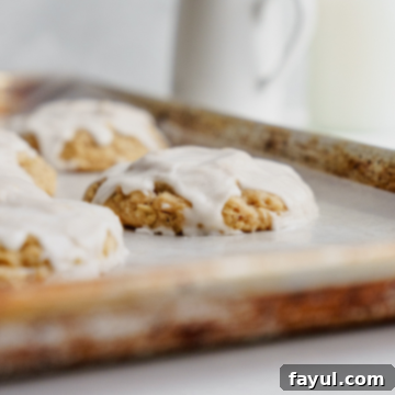 Iced Oatmeal Cookies