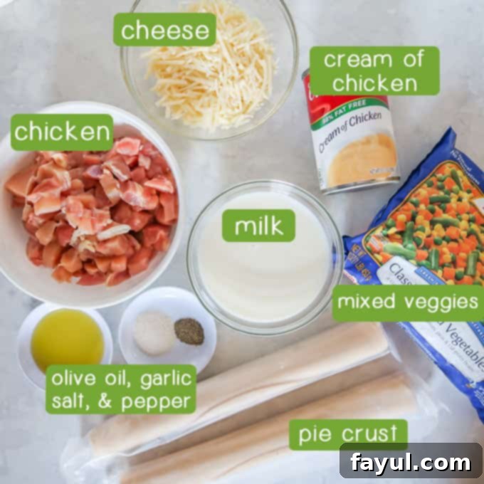 Overhead shot of ingredients- chicken, cheese, milk, cream of chicken, mixed veggies, pie crust, olive oil, garlic salt, and pepper.