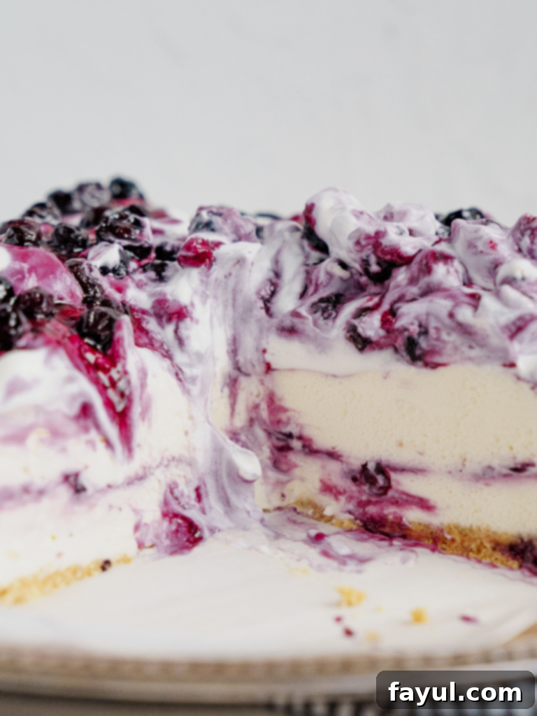 Delicious No Bake Blueberry Cheesecake topped with fresh blueberries and whipped cream