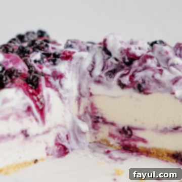 No Bake Blueberry Cheesecake, a creamy dessert with blueberry topping