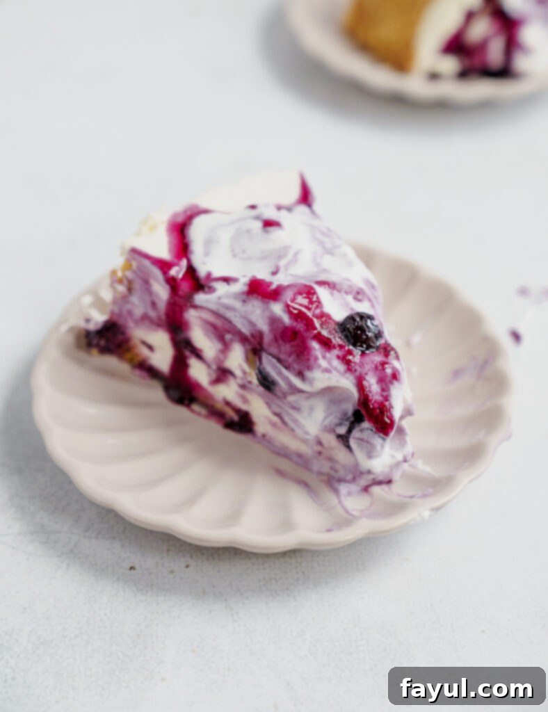 Top view of no-bake blueberry cheesecake with compote and whipped cream