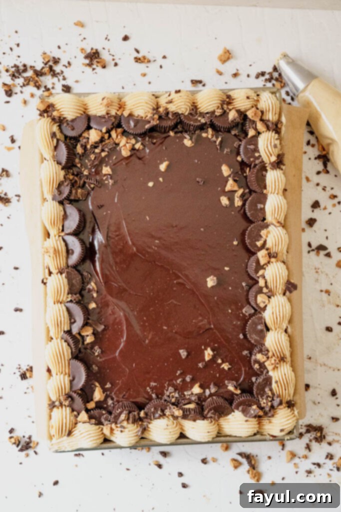 Easy Chocolate Peanut Butter Sheet Cake with dark chocolate ganache