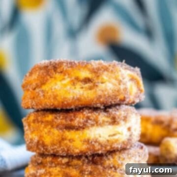 Easy Air Fryer Cinnamon Sugar Biscuit Donuts 10 A stack of golden brown cinnamon sugar air fryer donuts on a plate with a charming blue floral background, inviting you to grab one.