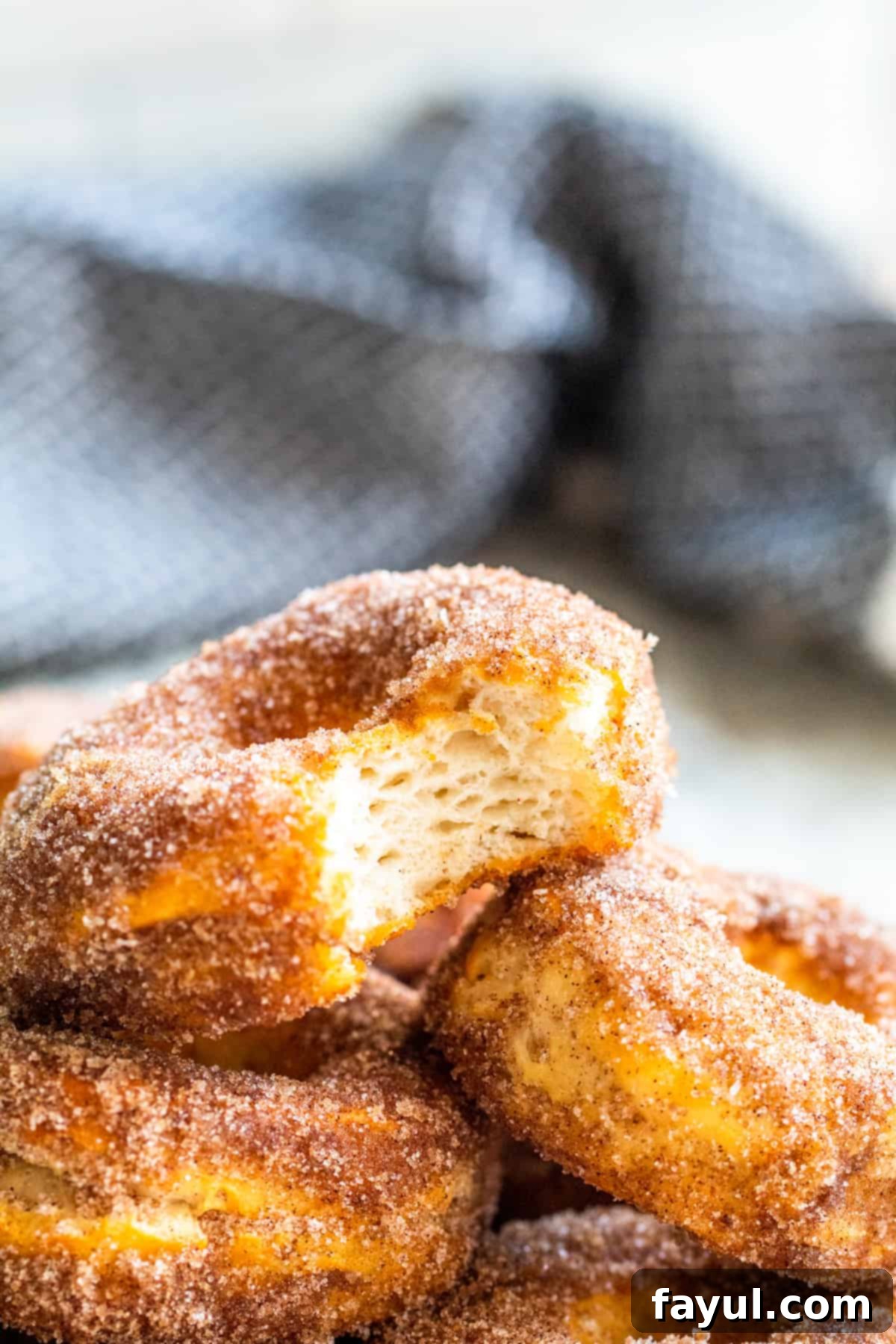 Easy Air Fryer Cinnamon Sugar Biscuit Donuts 7 Close-up, straight-on shot of a single air fryer biscuit donut with a bite taken out, resting on a pile of other cinnamon sugar donuts.