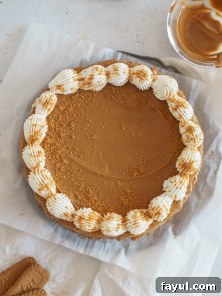 no bake biscoff cheesecake, a slice of creamy cheesecake with a cookie crust and Biscoff drizzle