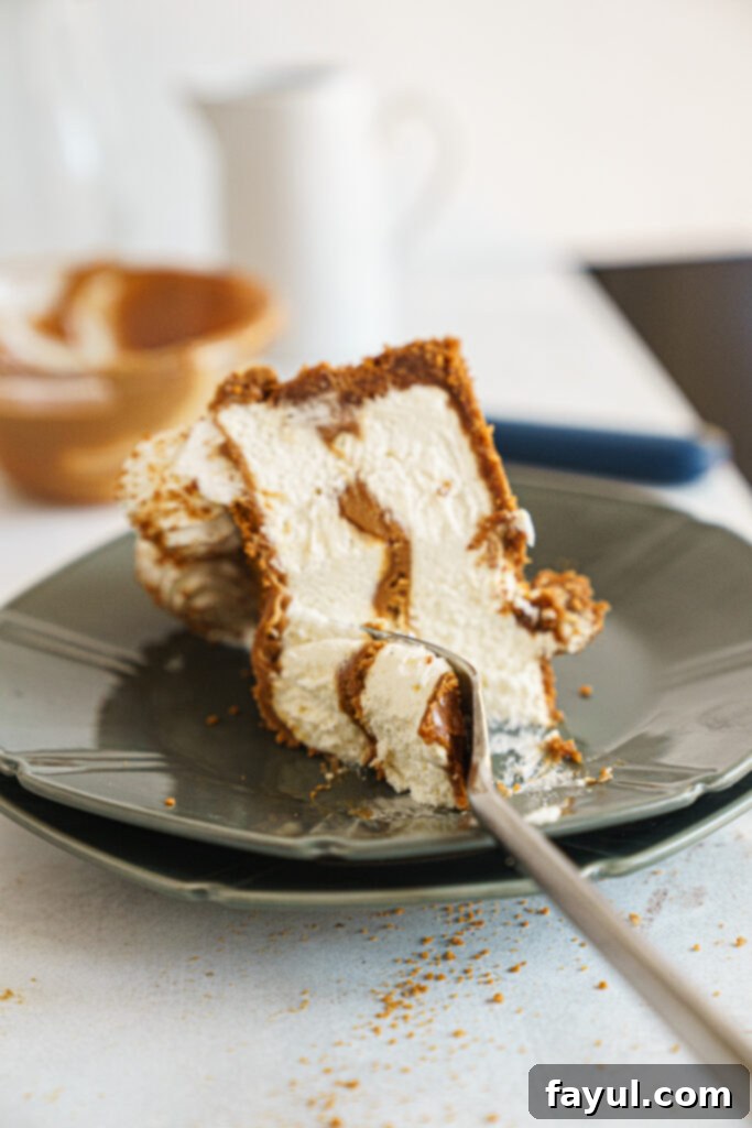 Close-up of a No-Bake Biscoff Cheesecake slice showing the creamy texture and cookie crust