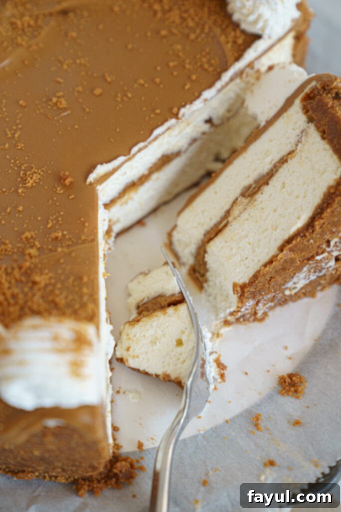 Biscoff cookies and cream cheese, key ingredients for the cheesecake