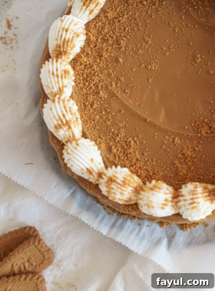 A jar of Biscoff cookie butter, essential for the cheesecake flavor