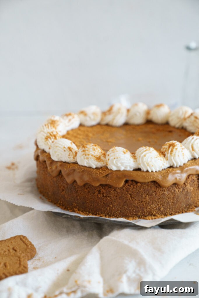 Two whole no-bake Biscoff cheesecakes, one with a simple Biscoff drizzle and another with whipped cream