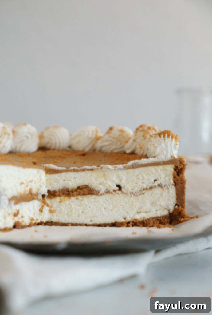 A beautifully decorated No-Bake Biscoff Cheesecake with whipped cream and cookie crumbs