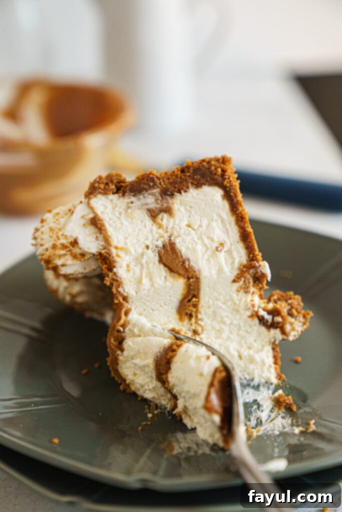 A slice of No-Bake Biscoff Cheesecake on a plate, garnished with a Biscoff cookie