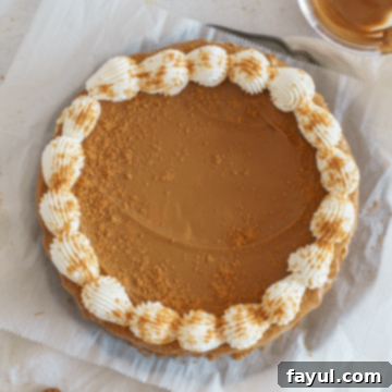 no bake biscoff cheesecake
