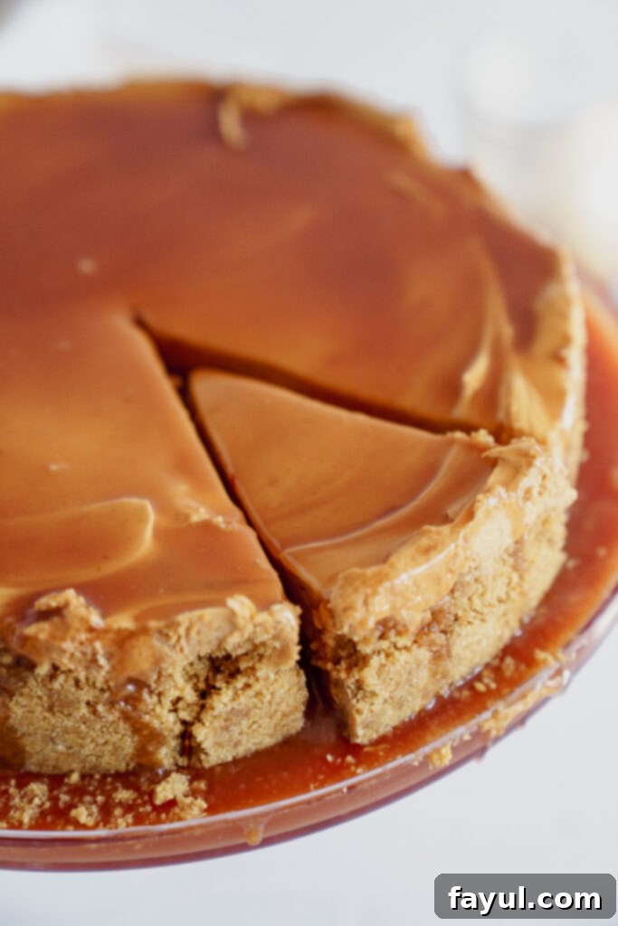 Top view of No-Bake Dulce de Leche Cheesecake with caramel drizzle