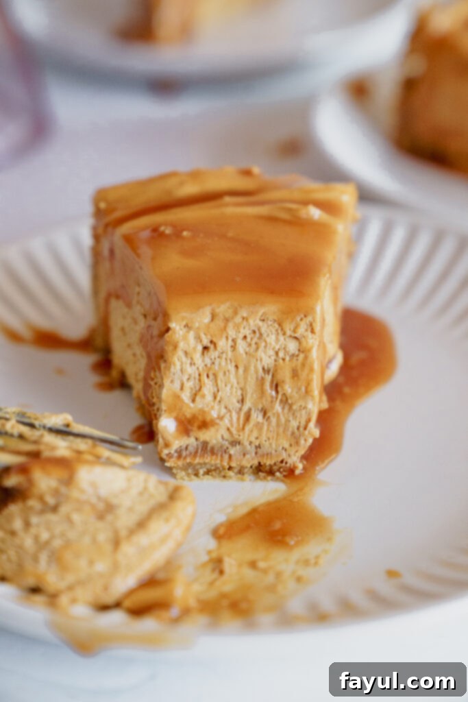 Another perspective of the finished no-bake cheesecake